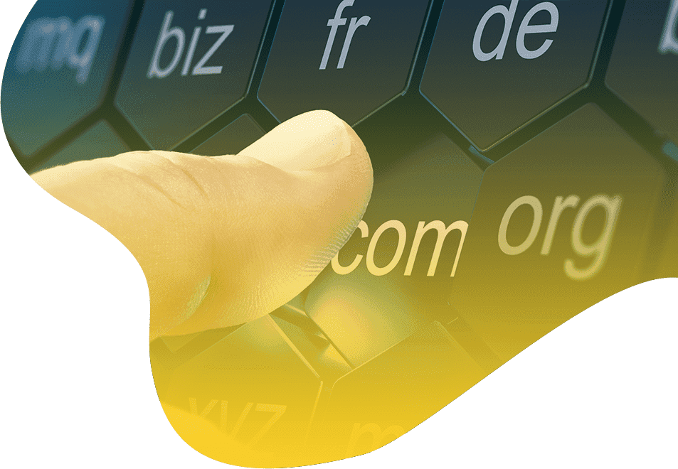 Domain Name